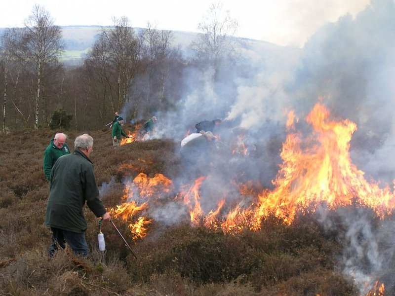 Controlled burn at Iping and Stedham Commons